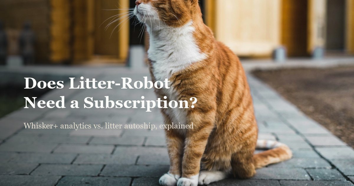 Does Litter-Robot Require a Subscription? (2026)